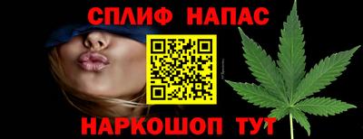 гидропоника Партизанск