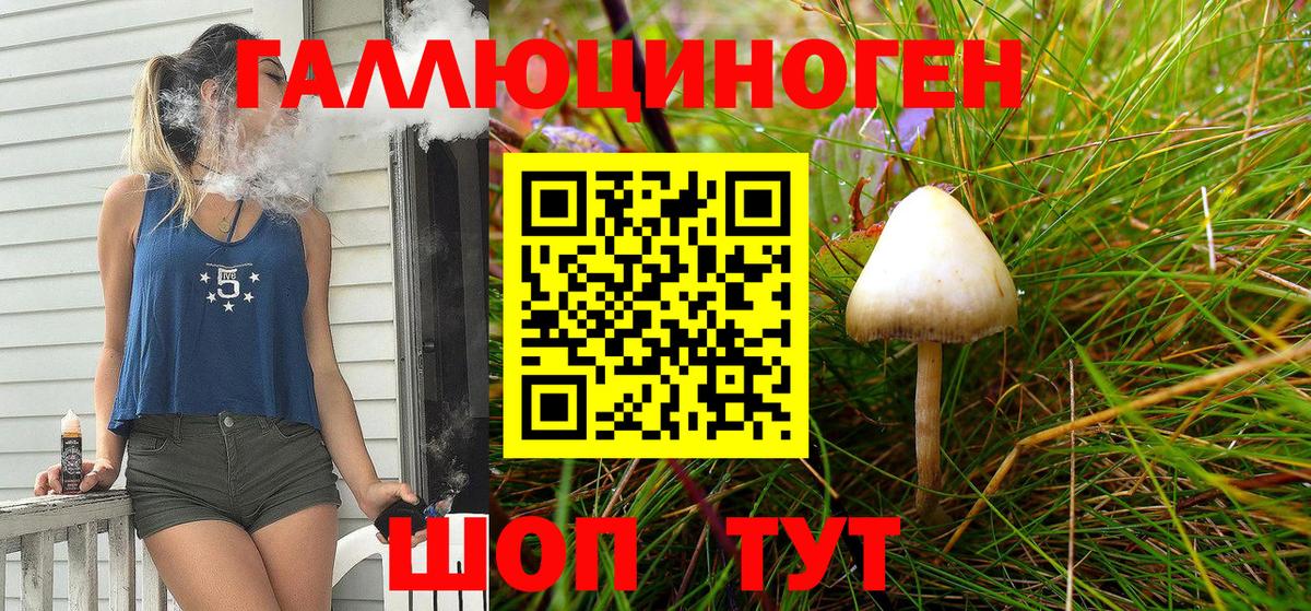 Псилоцибиновые грибы мицелий  Вход с VPN  Ржев 